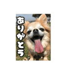 チェリちゃんすたんぷ2（個別スタンプ：5）