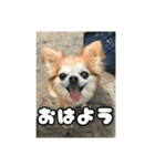 チェリちゃんすたんぷ2（個別スタンプ：7）
