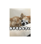 チェリちゃんすたんぷ2（個別スタンプ：8）