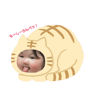 割と使えるひまちゃんスタンプ（個別スタンプ：1）
