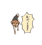 犬の日常スタンプ リニューアル（個別スタンプ：6）