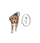 犬の日常スタンプ リニューアル（個別スタンプ：7）