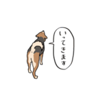 犬の日常スタンプ リニューアル（個別スタンプ：15）