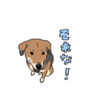 犬の日常スタンプ リニューアル（個別スタンプ：20）