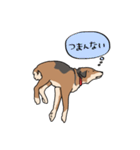 犬の日常スタンプ リニューアル（個別スタンプ：31）