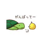 ひよこと動物たちの日常会話2（個別スタンプ：19）