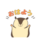 モモンガスタンプver.1（個別スタンプ：1）