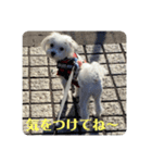 めりるでち❤️③（個別スタンプ：6）