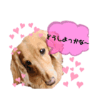 モフモフシリーズ②（個別スタンプ：5）