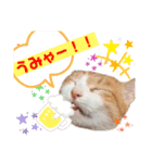 モフモフシリーズ②（個別スタンプ：8）
