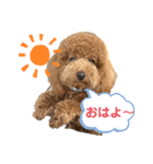 のだもこスタンプ3（個別スタンプ：1）