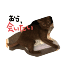 チピスタンプ（個別スタンプ：2）