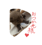 チピスタンプ（個別スタンプ：8）