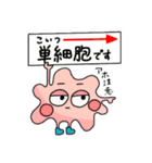 単細胞あみーば（個別スタンプ：14）