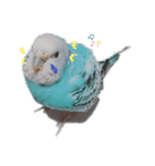 cooーchan（個別スタンプ：2）
