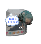 cooーchan（個別スタンプ：4）