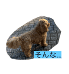 やっくんのララスタンプ（個別スタンプ：2）