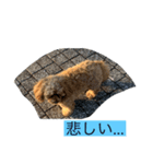 やっくんのララスタンプ（個別スタンプ：3）