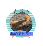 やっくんのララスタンプ（個別スタンプ：4）