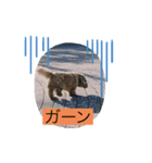 やっくんのララスタンプ（個別スタンプ：6）