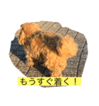 やっくんのララスタンプ（個別スタンプ：8）