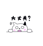 白と黒のニャンコたち（個別スタンプ：37）