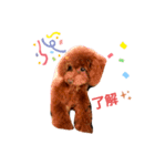 UGGのお言葉（個別スタンプ：1）