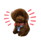UGGのお言葉（個別スタンプ：2）
