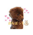 UGGのお言葉（個別スタンプ：4）