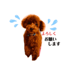 UGGのお言葉（個別スタンプ：5）