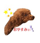 UGGのお言葉（個別スタンプ：6）