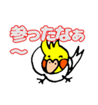 おかめインコのリンちゃん（個別スタンプ：5）