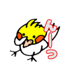 おかめインコのリンちゃん（個別スタンプ：10）