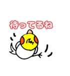 おかめインコのリンちゃん（個別スタンプ：12）