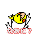 おかめインコのリンちゃん（個別スタンプ：19）