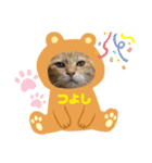 つよちゃんの写真スタンプ（個別スタンプ：8）