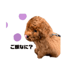 choco'choco（個別スタンプ：6）