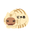 ゆきちゃん にゃあにゃあ（個別スタンプ：7）