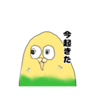 絵心のないちょっとおかしな小鳥スタンプ（個別スタンプ：1）