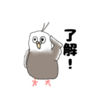 絵心のないちょっとおかしな小鳥スタンプ（個別スタンプ：15）