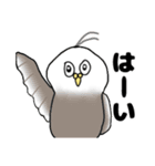 絵心のないちょっとおかしな小鳥スタンプ（個別スタンプ：16）