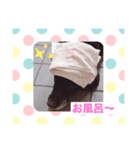 黒ラブデイルの日常（個別スタンプ：6）