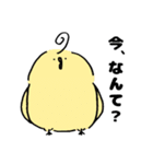 日常のとり（個別スタンプ：5）