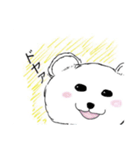 白クマのもっさん（個別スタンプ：8）