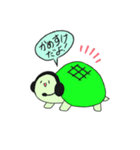 かめすけ（個別スタンプ：1）
