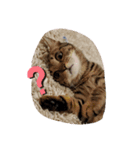 むぎちゃんねる（個別スタンプ：3）