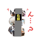 わんころ 2（個別スタンプ：3）