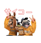 わんころ 2（個別スタンプ：8）
