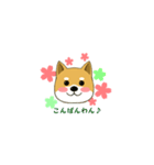 柴のRINさんのあれこれ（個別スタンプ：3）