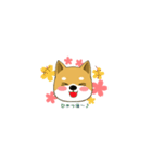 柴のRINさんのあれこれ（個別スタンプ：5）